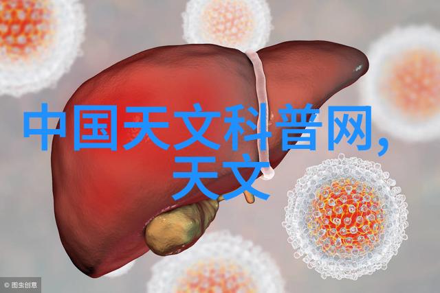 金属丝网波纹规整填料材料创新与应用前景探索
