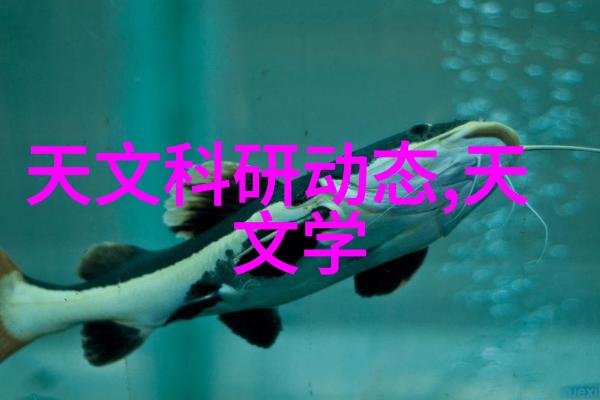 为何一些专业人士认为不宜将普通粘合剂直接替换为高级耐候胶