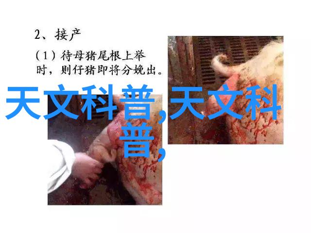 饭店用油水分离器我来教你怎么搞定油水分离这个小问题