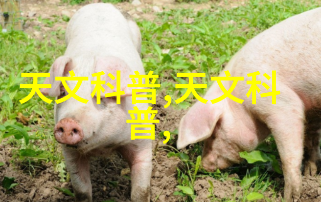 红外线杀菌设备-高科技助力卫生安全