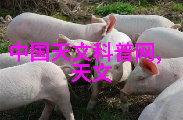 一般化学品-探索日常生活中的化学物质一般化学品的种类与应用