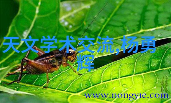 旋转蒸发仪高效析出纯净物的无声英雄