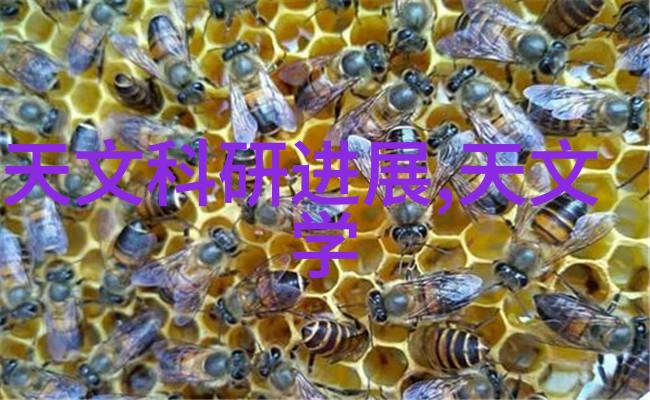 时间的钥匙揭秘规整填料的奥秘