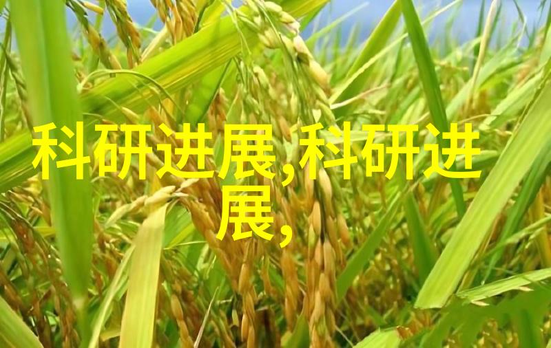 南方泵业-南方泵业驱动着水资源的轮子