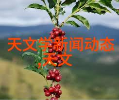 电磁波的魔力揭秘微波杀菌机的奥秘