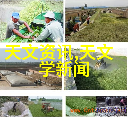 零部件的定义咱们来聊聊这些小东西到底是什么