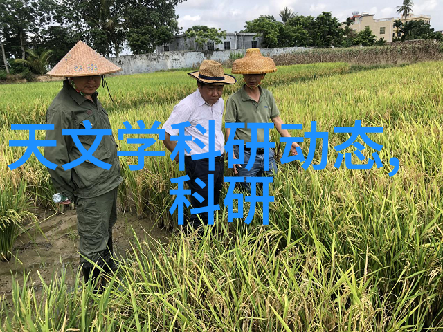 房子装修施工顺序-从规划到完工详解房产装饰的理想施工流程