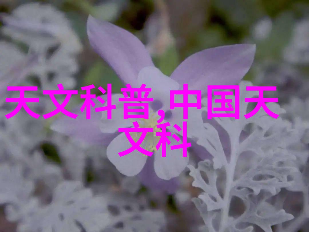 利率的力量如何影响我们的经济与生活