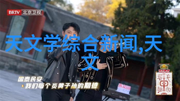 兔狗家装研究探索跨物种居住空间的设计与功能融合