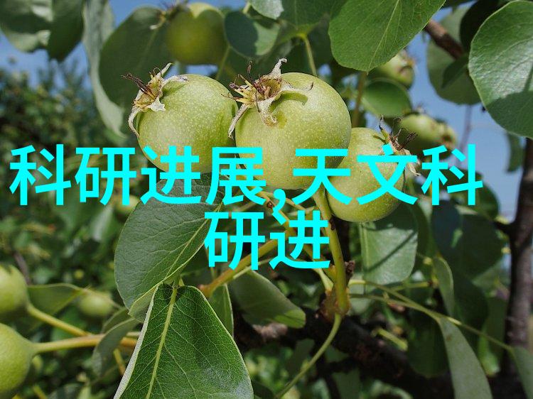 金属网眼的守护者探索不锈钢丝网填料的精妙参数