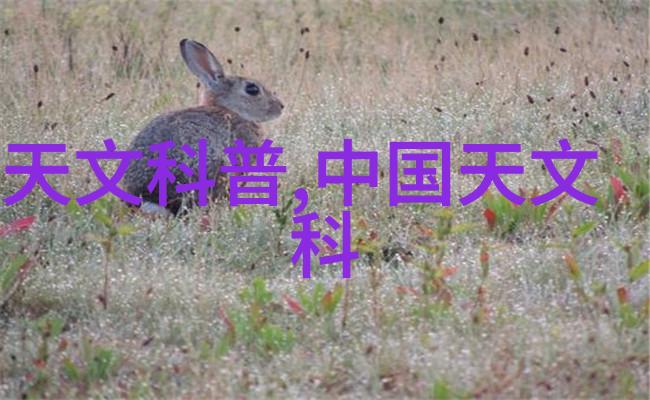 水源选择与保护保证清洁饮用水来源