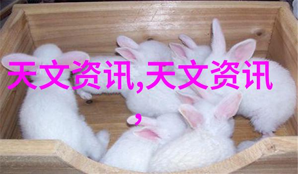使用塑料烘干机设备时需要注意哪些安全问题