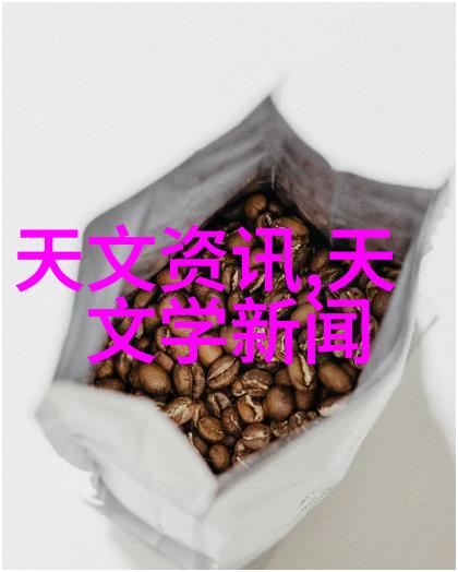 决策者视角下的优秀资本请求文件评估标准