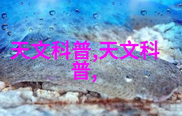 自然光线引领的明亮透气阳台厢车间装饰方案示范