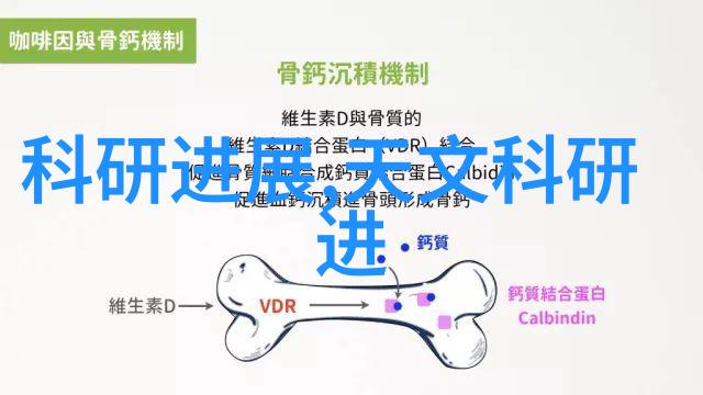 家居美学实用与时尚的完美结合一套现代简约装修案例探究