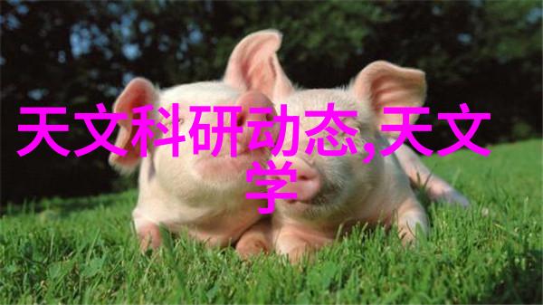 工业纯水机维护技巧让设备更长寿命