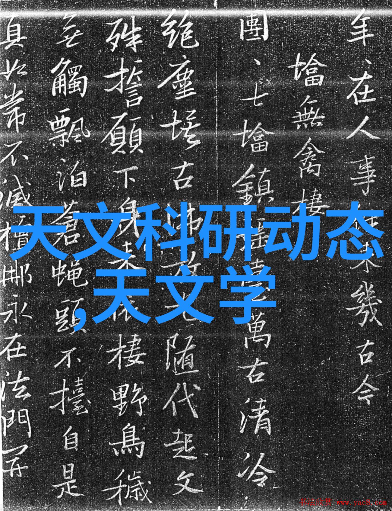 dn50金属环矩鞍填料高效节能的工业流体处理解决方案