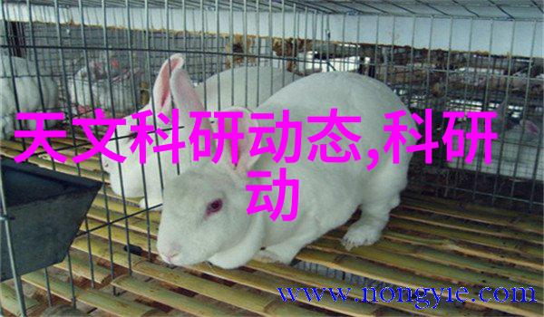 管材型号大全了解不同材料和规格的选择与应用