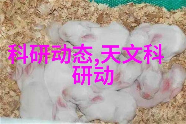 塔尖上的谜题探索填料塔的奥秘