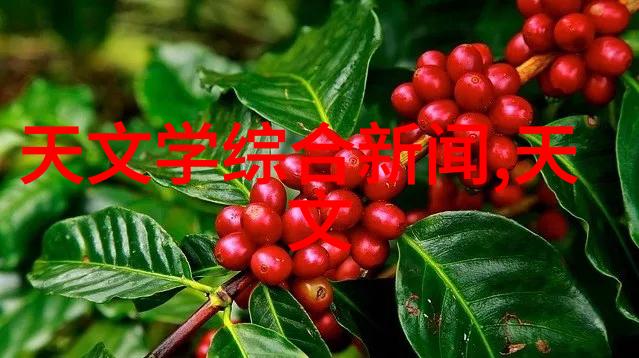 大型自来水厂设备生产厂家我是水城制造我让干涸的土地喝上满满的清泉