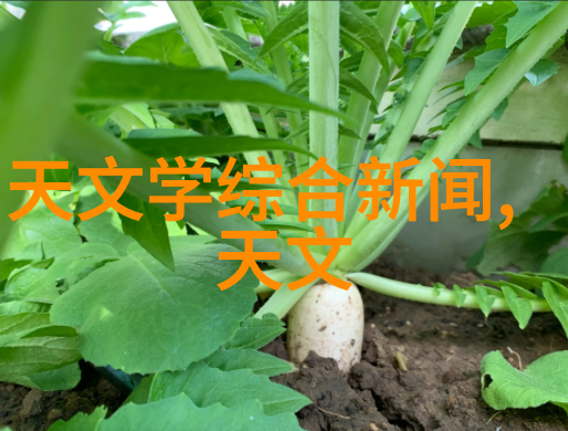 高盐废水处理设备的创新应用与环境可持续性策略研究