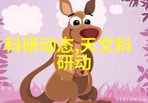 卫生间与厨房局部装修指南提升家居生活品质