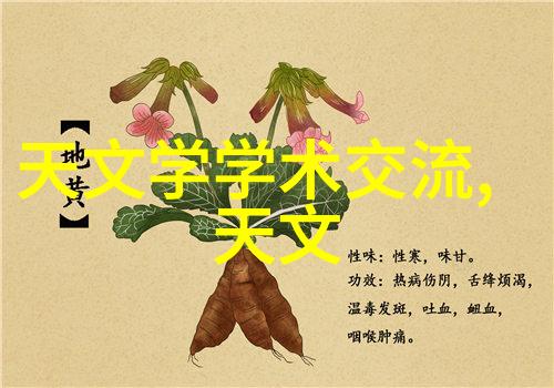 掌上智慧全面智能手表使用说明指南