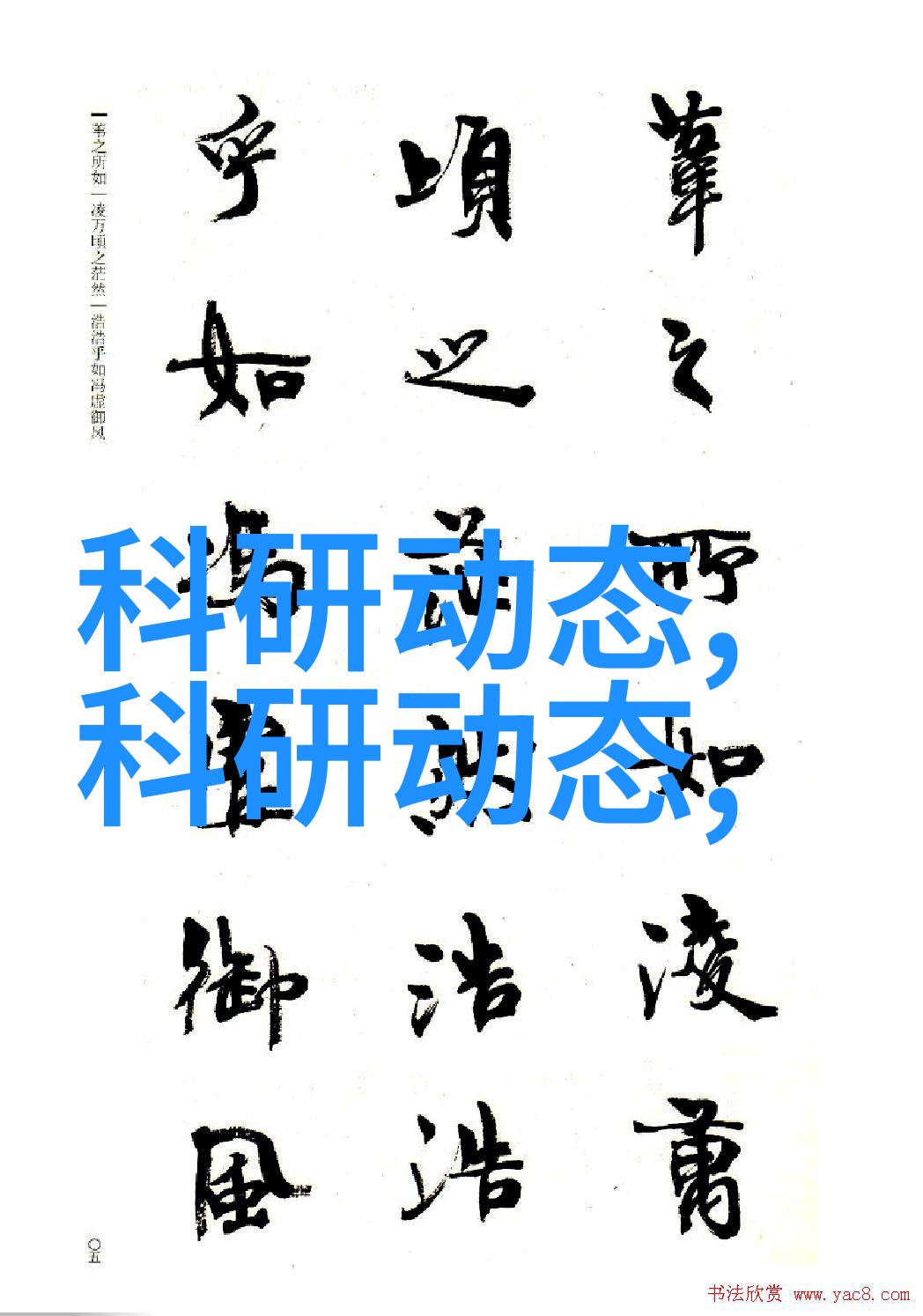 石油化工填料的多样化产品系列