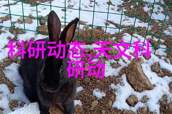 化工卫生阀的安装和维护有哪些注意事项