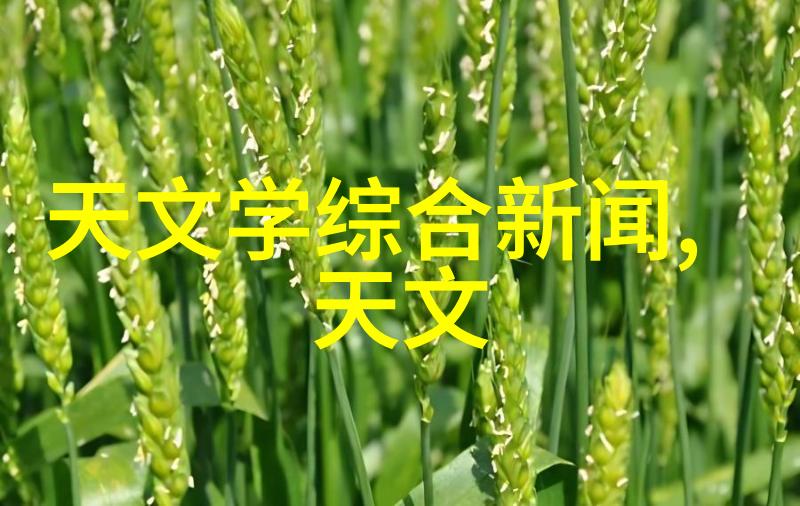 我的固定床反应器设计让化学实验更简单效率更高