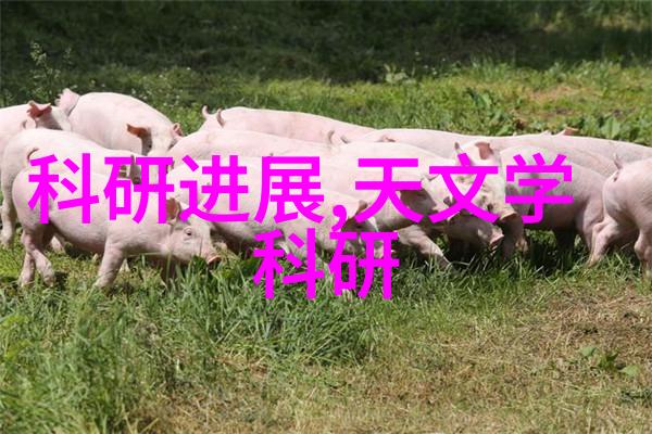 水平仪咱们来看看它的用途有哪些