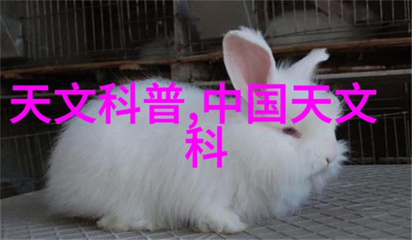 特种车辆穿越极限的铁甲战士