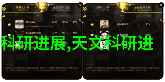 项目进展与未来的展望
