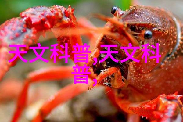 水电工程承包合同制定与实践研究基于标准版范本的应用探究