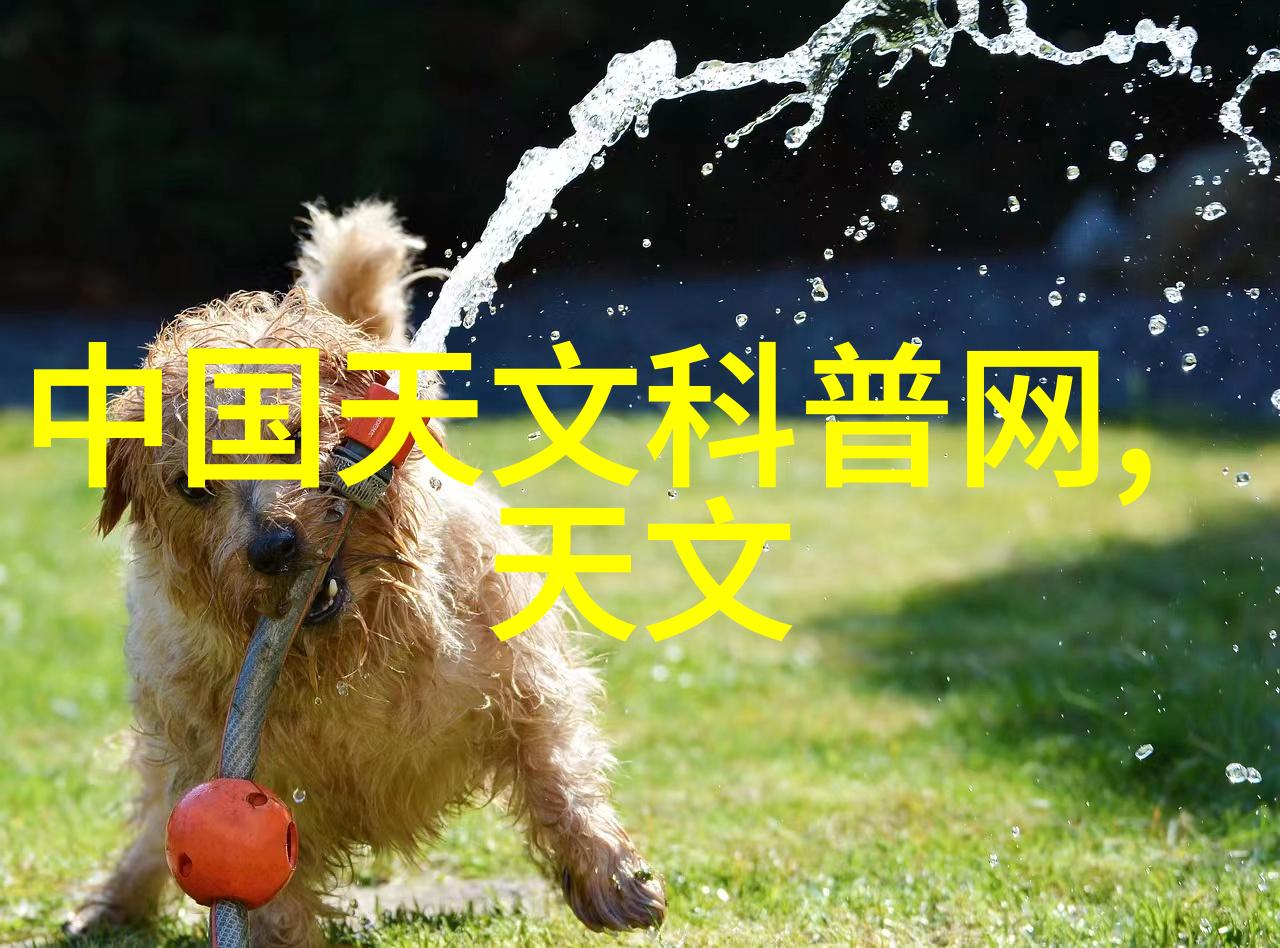 连续离心过滤机我来告诉你它是怎么工作的