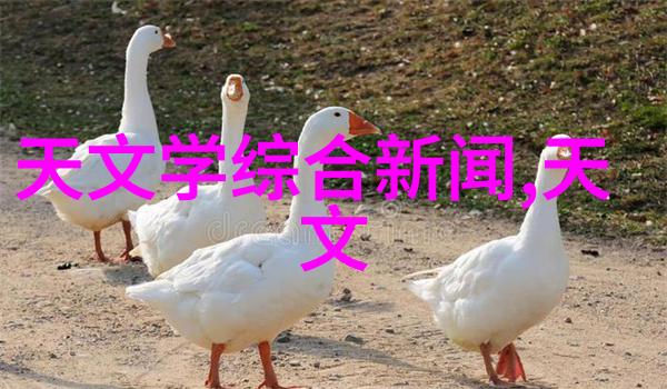 保洁员是否需要专业培训