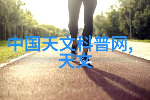 招标投标法实施条例研究探索公平竞争与效率优化的法律保障机制
