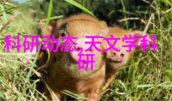 操作提取浓缩蒸发设备的步骤是什么