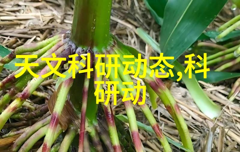 中国三大存储芯片公司的创新路径与国际竞争力