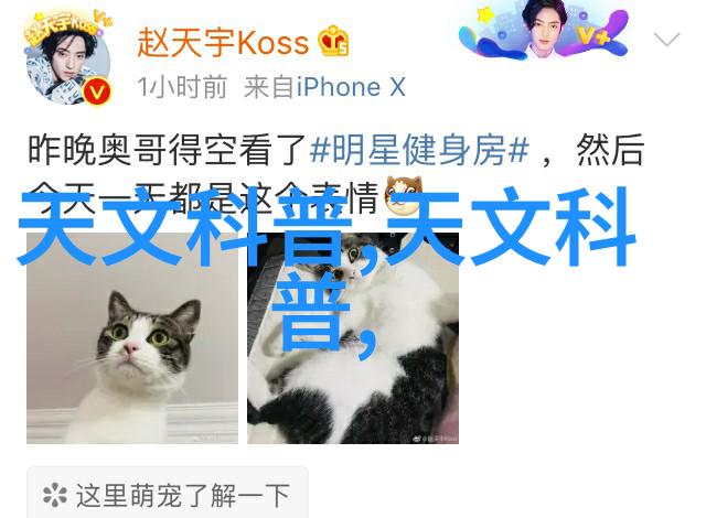tds水质检测多少为直饮水-直饮清源掌握TDS值确保每一口都清甜可口
