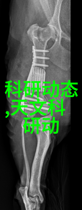 织梦细腻波纹填料的精准定制艺术