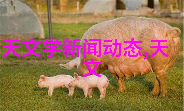 水利工程冷门现象探究背后原因与未来趋势