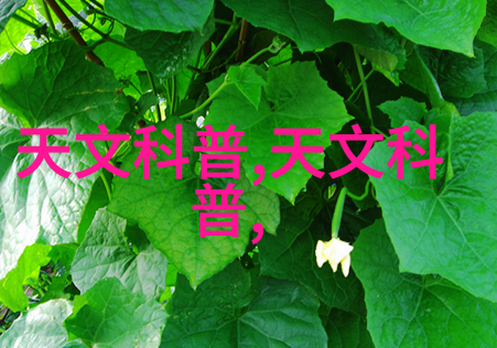 汽车部件全解析从引擎到轮胎了解车辆的每一个关键零件
