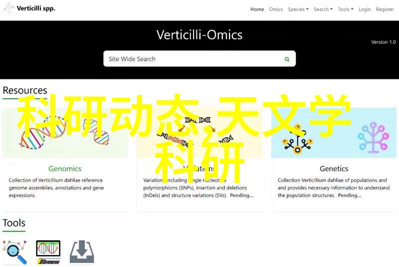 翁和莹第九部-岁月静好翁和莹的爱情篇章