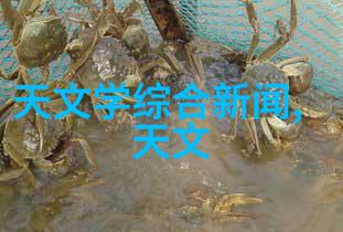 自然界的艺术探索波纹丝网填料在家居装饰中的应用