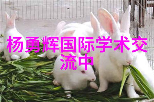 工程机械配件市场工程机械配件的采购与销售