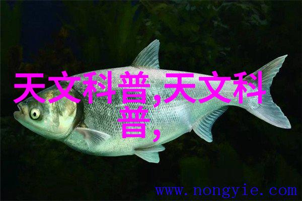 化工过滤设备-高效稳定探索化工行业中过滤设备的关键技术与应用