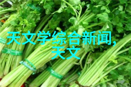 化工卫生泵高效节能的工业用途