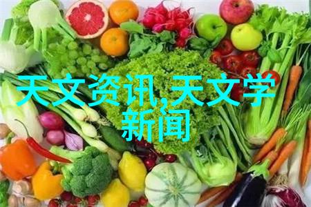 ldb70脉冲袋式除尘器高效清洁技术的先进代表