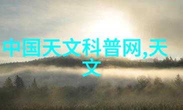 宠物药品安全使用提示与注意事项
